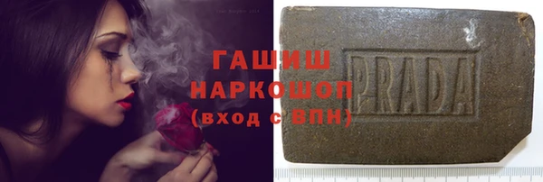 прущие грибы Алзамай