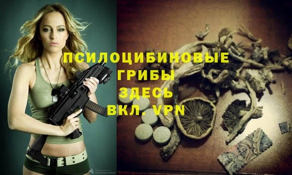 стафф Аркадак