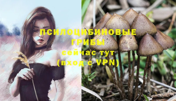экстази Арсеньев