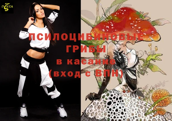 стафф Аркадак