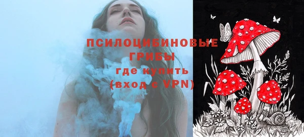 прущие грибы Алзамай